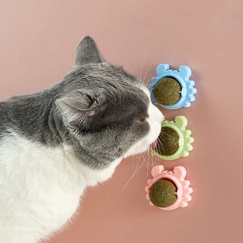 Aliexpress clearance cat toys