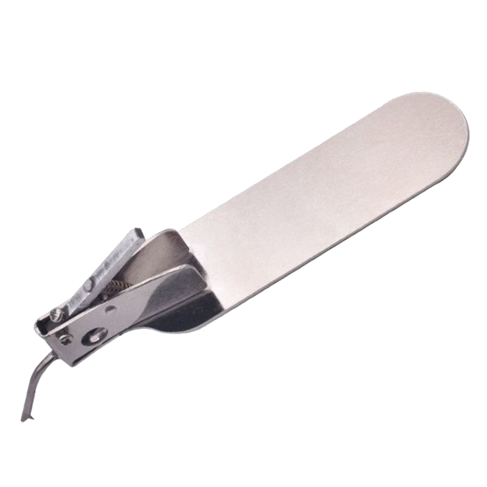 Stainless Steel Worm Grafting Tool with Spare Tongue for Moving Queen Bee Larva Beekeeping Grafting Tackle Transferring Tool