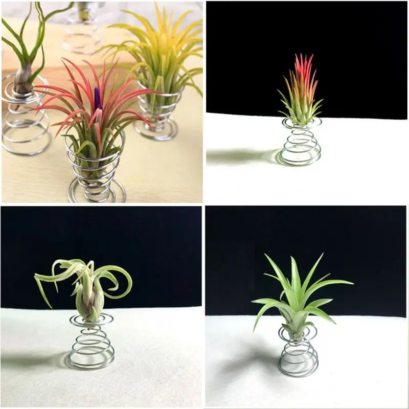 20 Pack Air Plant Stand Container Tillandsia Holder, Stainless Steel Wire Stand Plant Display Racks - Silver