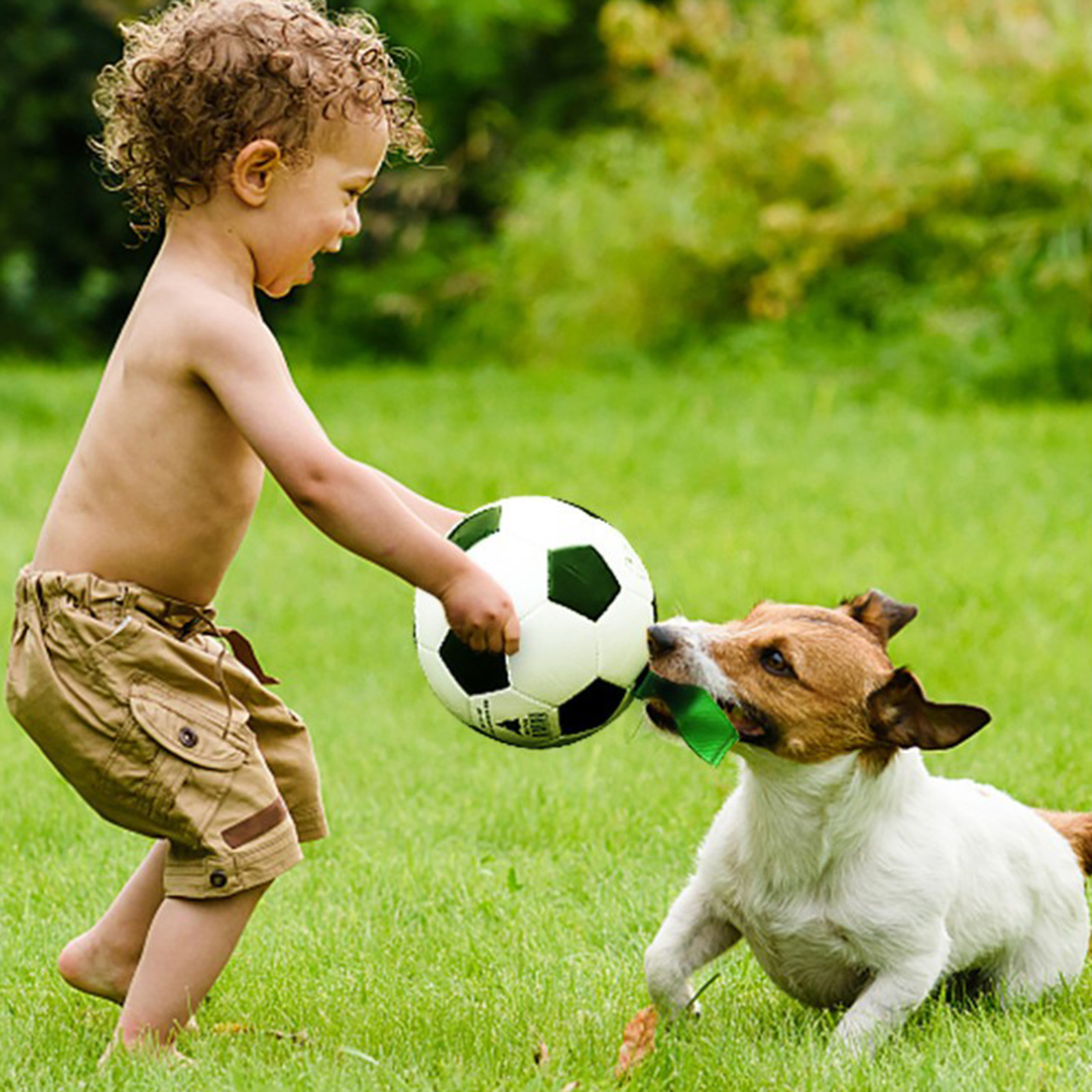 Dog Soccer Exercise Interactive Ball with Grab Tab Easy Grip Lawn Lake Swim Pool Beach Pet Puppy Football Training Toys