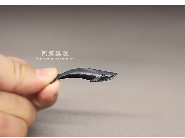 Miniature Decor Oceans Animal Model Small Beluga Killer Whale Sea Turtle Aquarium blue whale Fish Tank Accessories Figurine Toys