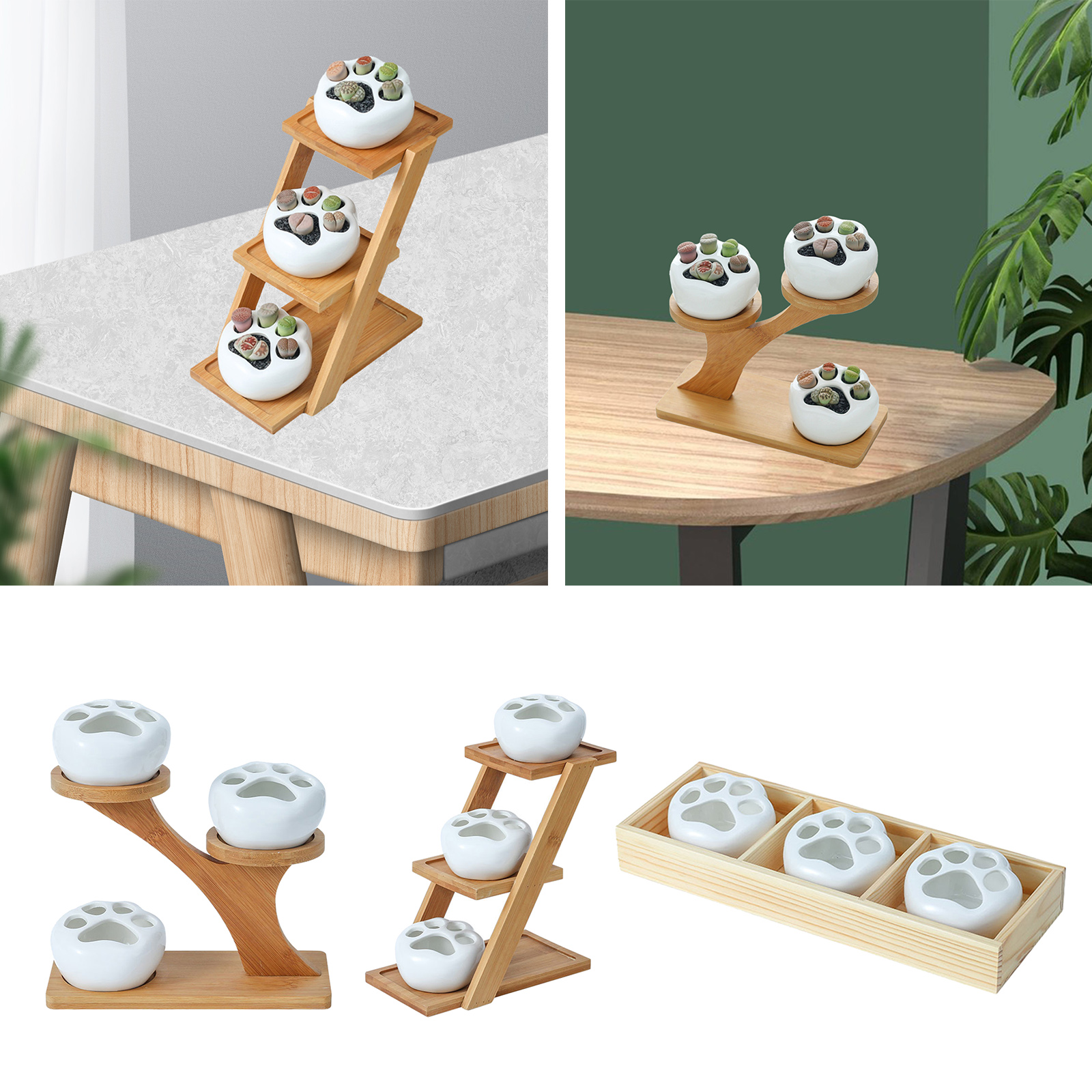 Cute Succulent Plant Pot Drainage Patterns Elegant Cat Claw Shaped Ornament Planter Plant for Succulent Plants Tabletop