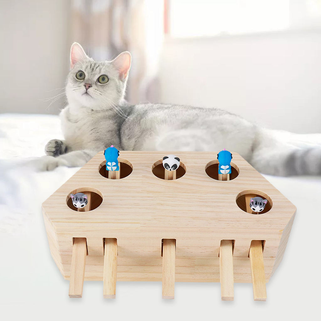 cat toy wooden box with holes