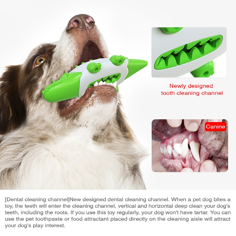 Do Dogs Need Deep Teeth Cleaning