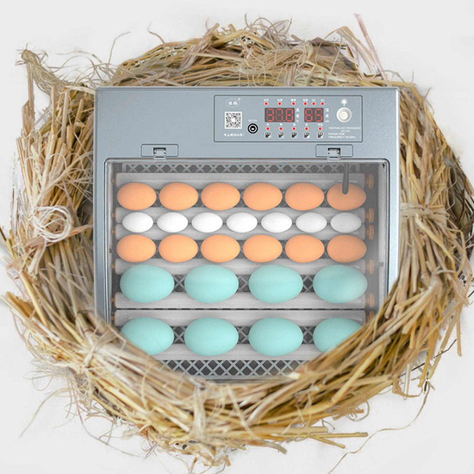 US 110V Eggs Incubator Brooder Bird Quail Chick Hatchery Incubator Poultry Hatcher Turner Automatic Farm Incubation Tools