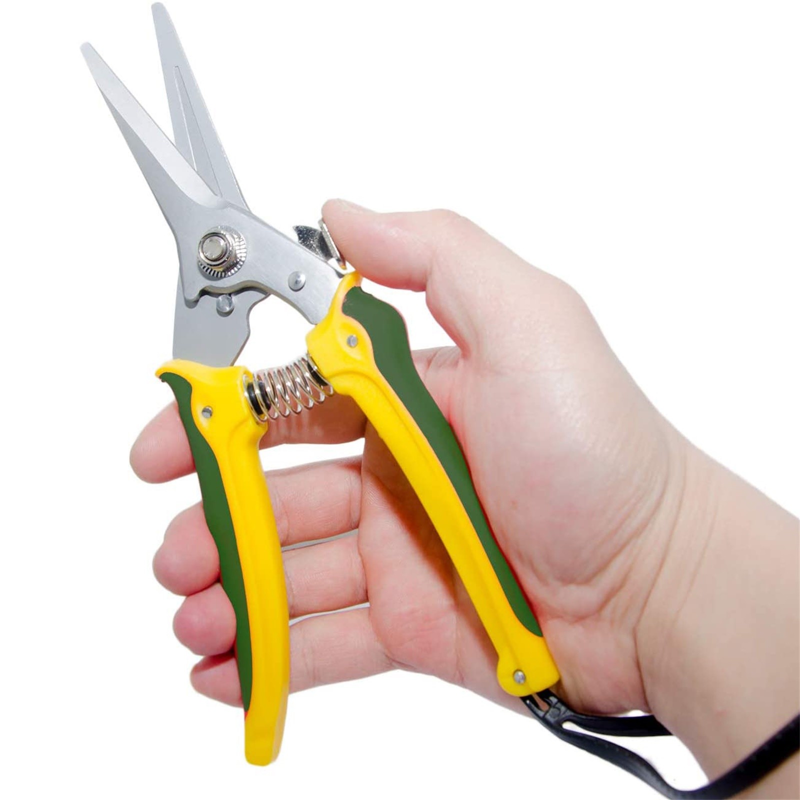 Title 7, Plants Shears Specialists Resistant Foot Rots S...