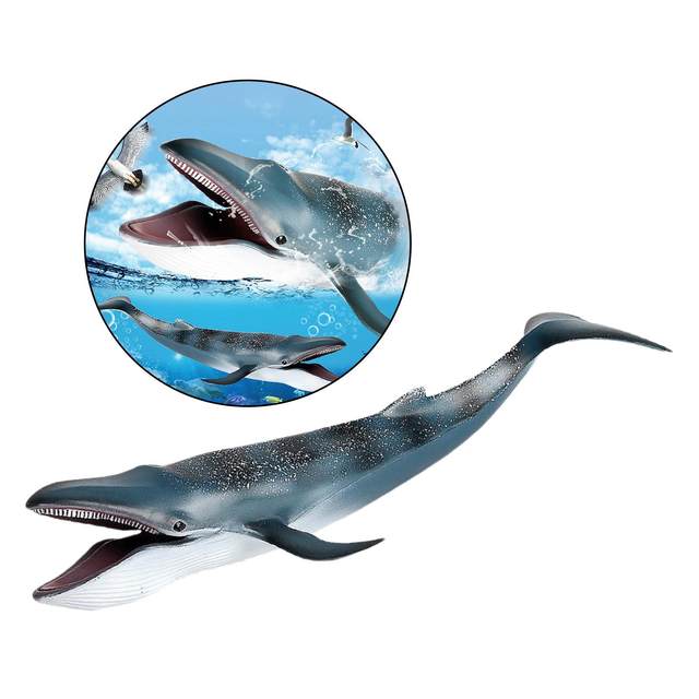 Simulation Blue Whale Animal Figure Collectible Toys Sea Animal Cognition Action Figures Kids Plastic Toys