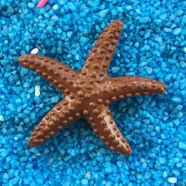 Star Fish- A beautiful animal at the sea shore – Craze Of Real Clicks