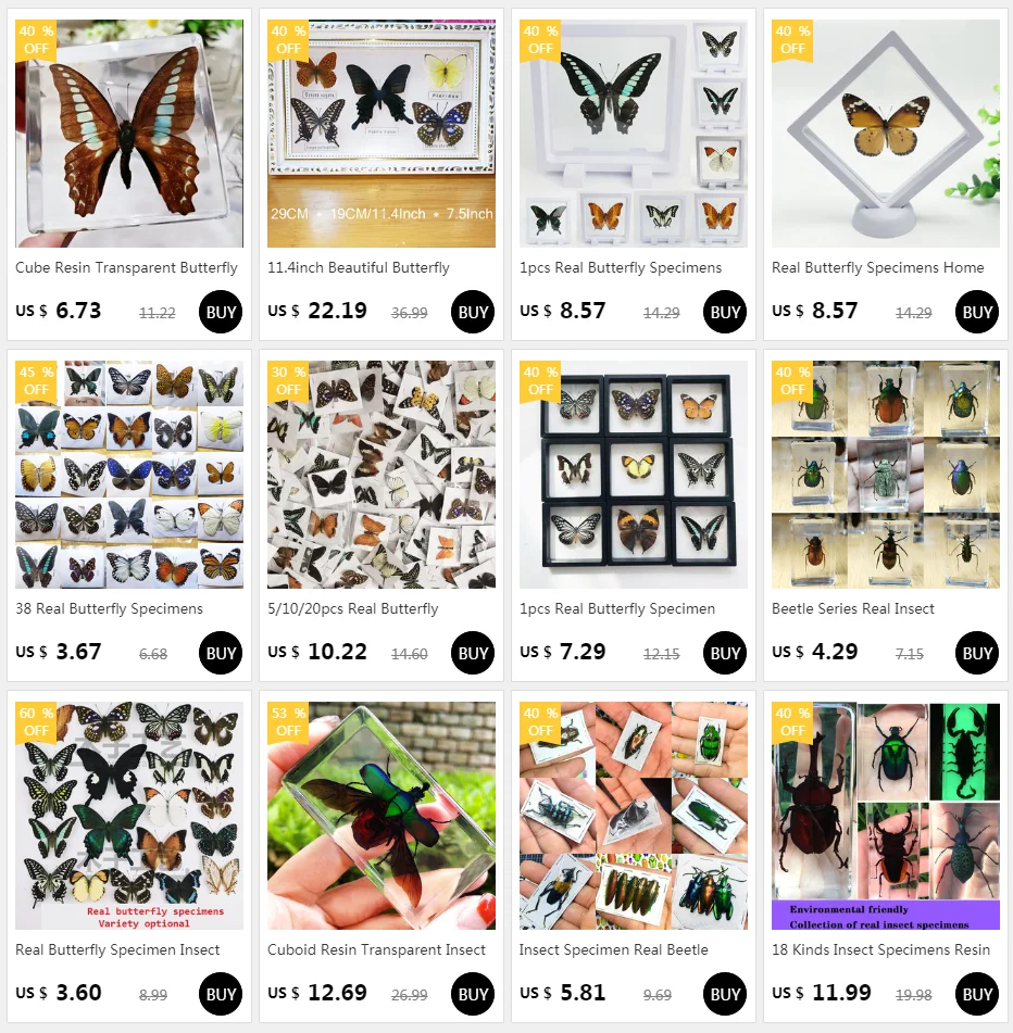 1pcs Real Butterfly Specimen Insect Home Decor Photo Frame   Desk Decoration Figurines Birthday Gift Teaching Training