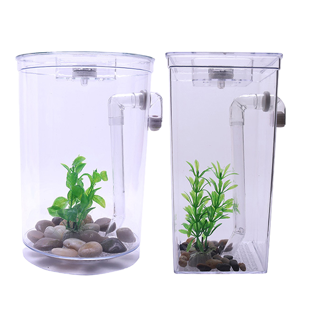 Clear Durable Fish Tank Aquarium Desktop Fishing Tank Aquatic Plants Stones
