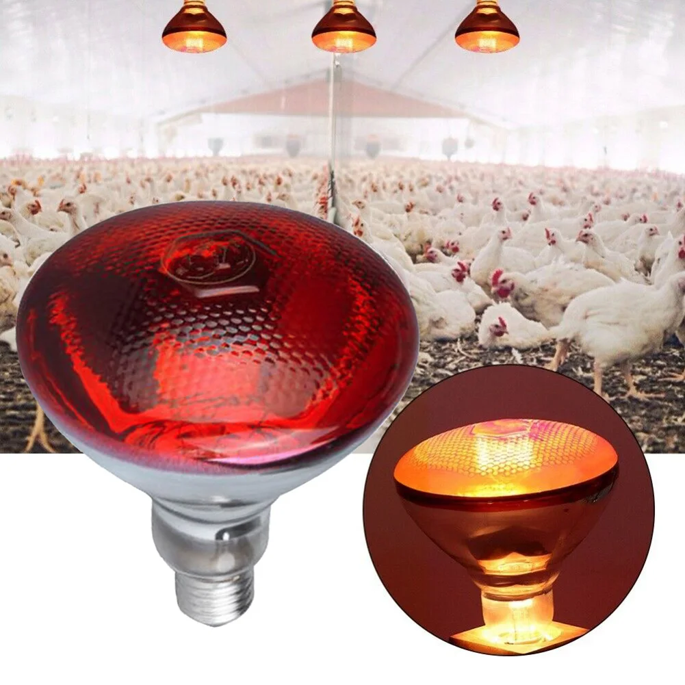 lâmpada de calor infravermelho prova danti água engrossado lâmpadas para aves pato frango piglet xobw