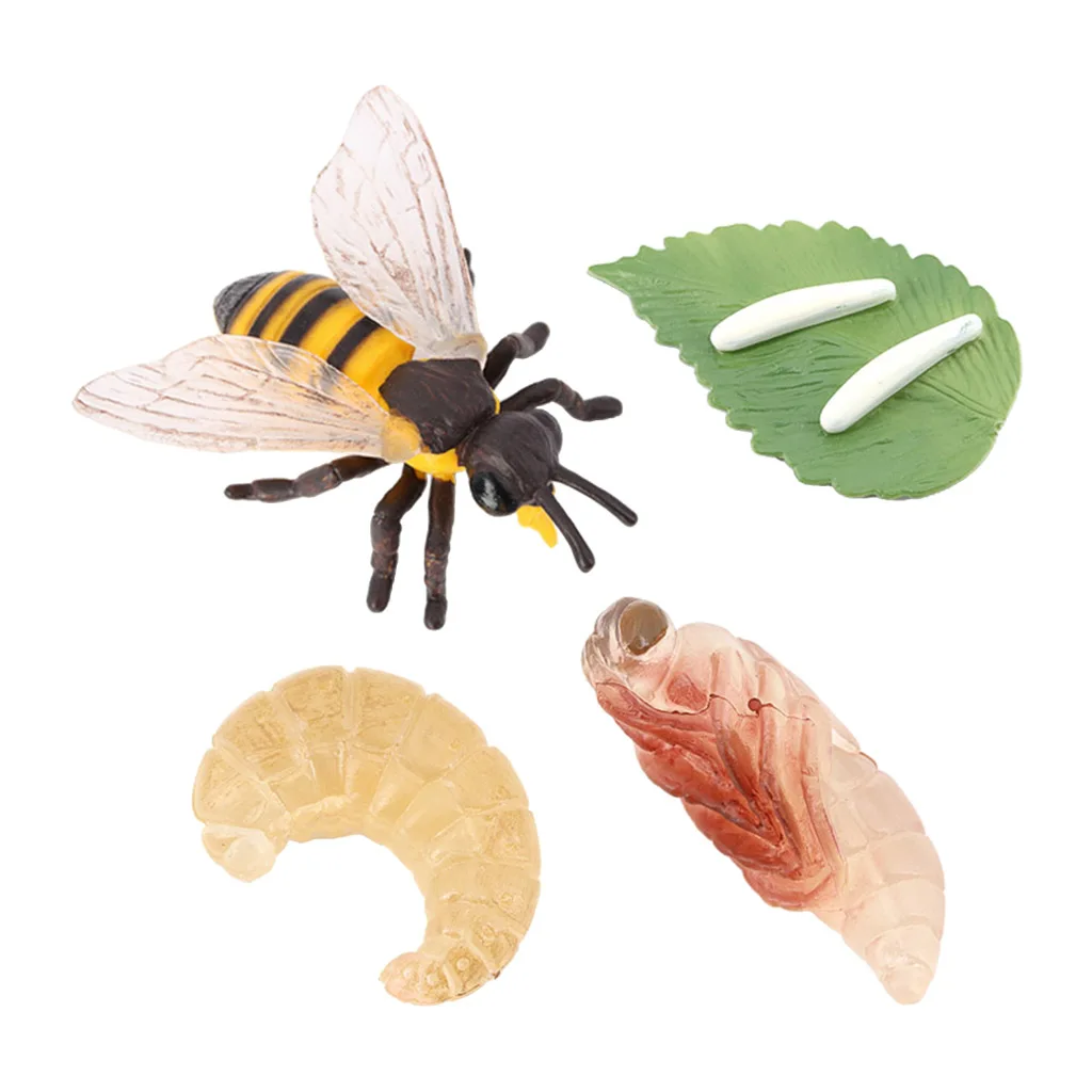 Los niños de plástico insecto abeja crecimiento de ciclo de vida educación figuras aprender 