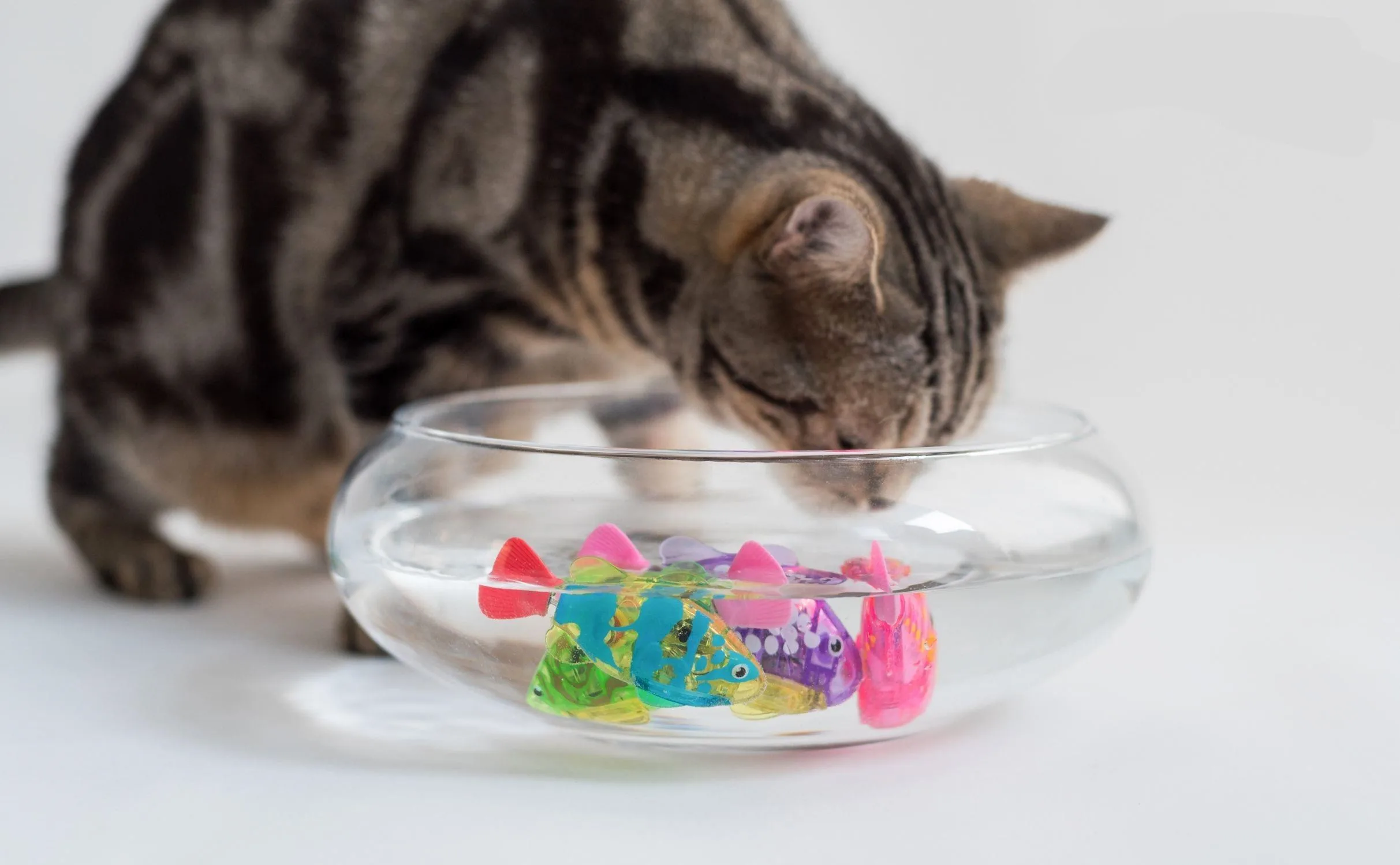 4PCS Cat Interactive Electric Fish Toy Water Cat Toy for Indoor Play Swimming Fish Toy for Cat and Dog with LED Light  Pet Toys