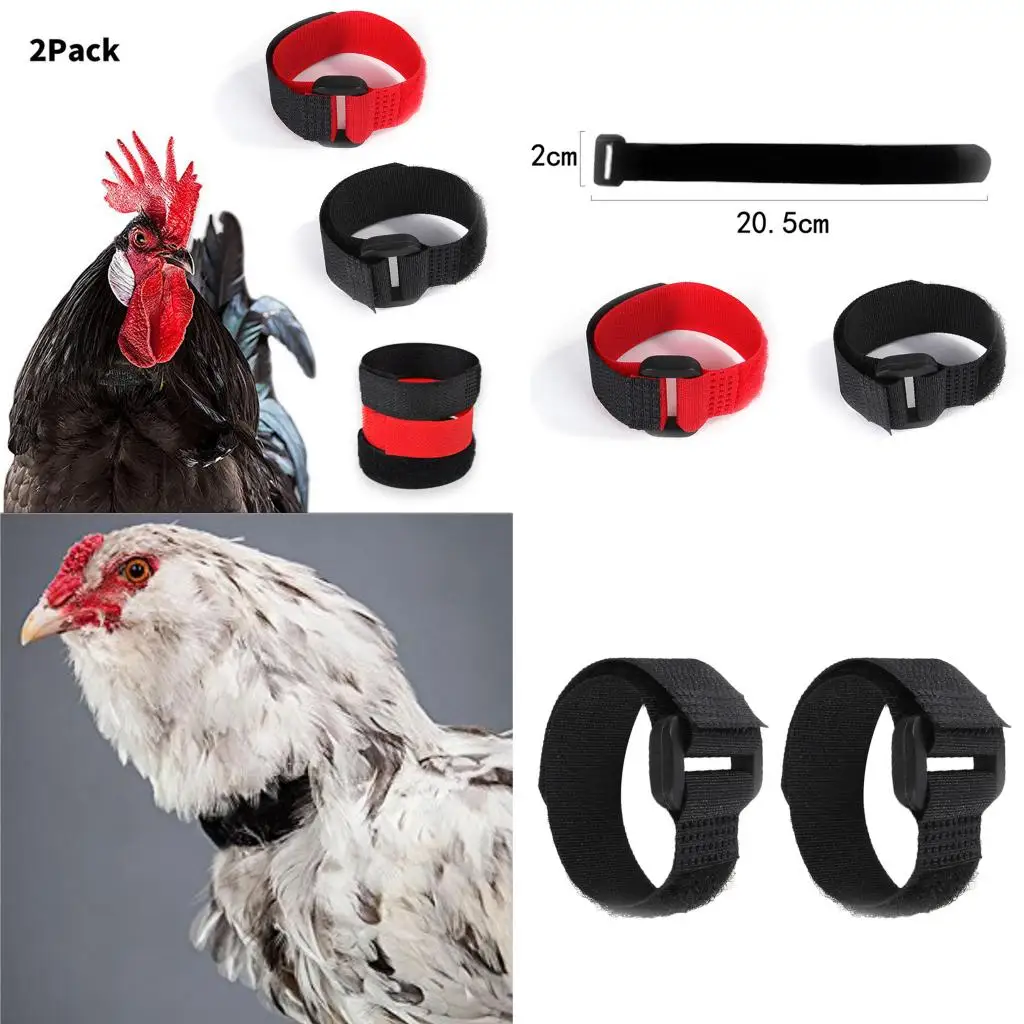 2 Pack Anti Crow Noise Rooster Collar No Crow Noise Neck Belt for Roosters Cockerel Nylon -Adjustable Belt Durable And Safe