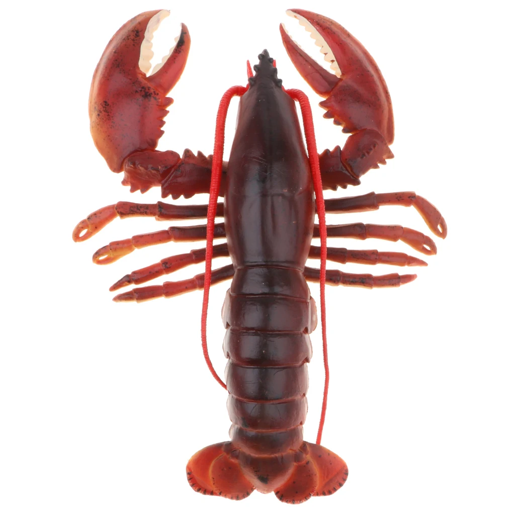 9 Inch Realistic Marine Animal Model Figurines Red Lobster Action Figure Toy for