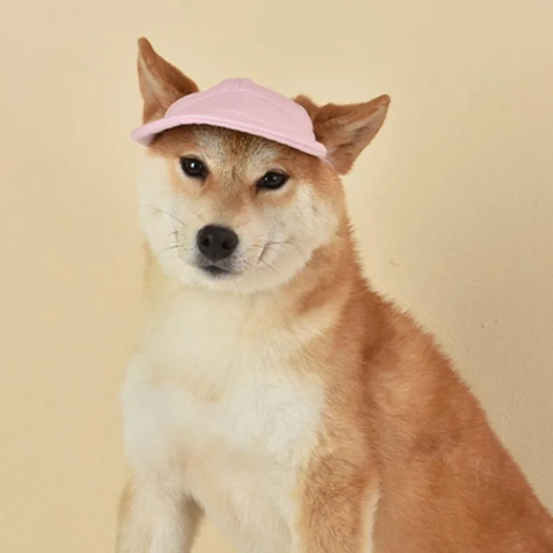 Un perro Shiba Inu con un sombrero rosa. El perro parece estar dentro y el fondo es una pared lisa y de color claro. El Shiba Inu es una raza conocida por sus características de zorro y a menudo se asocia con el meme Doge.