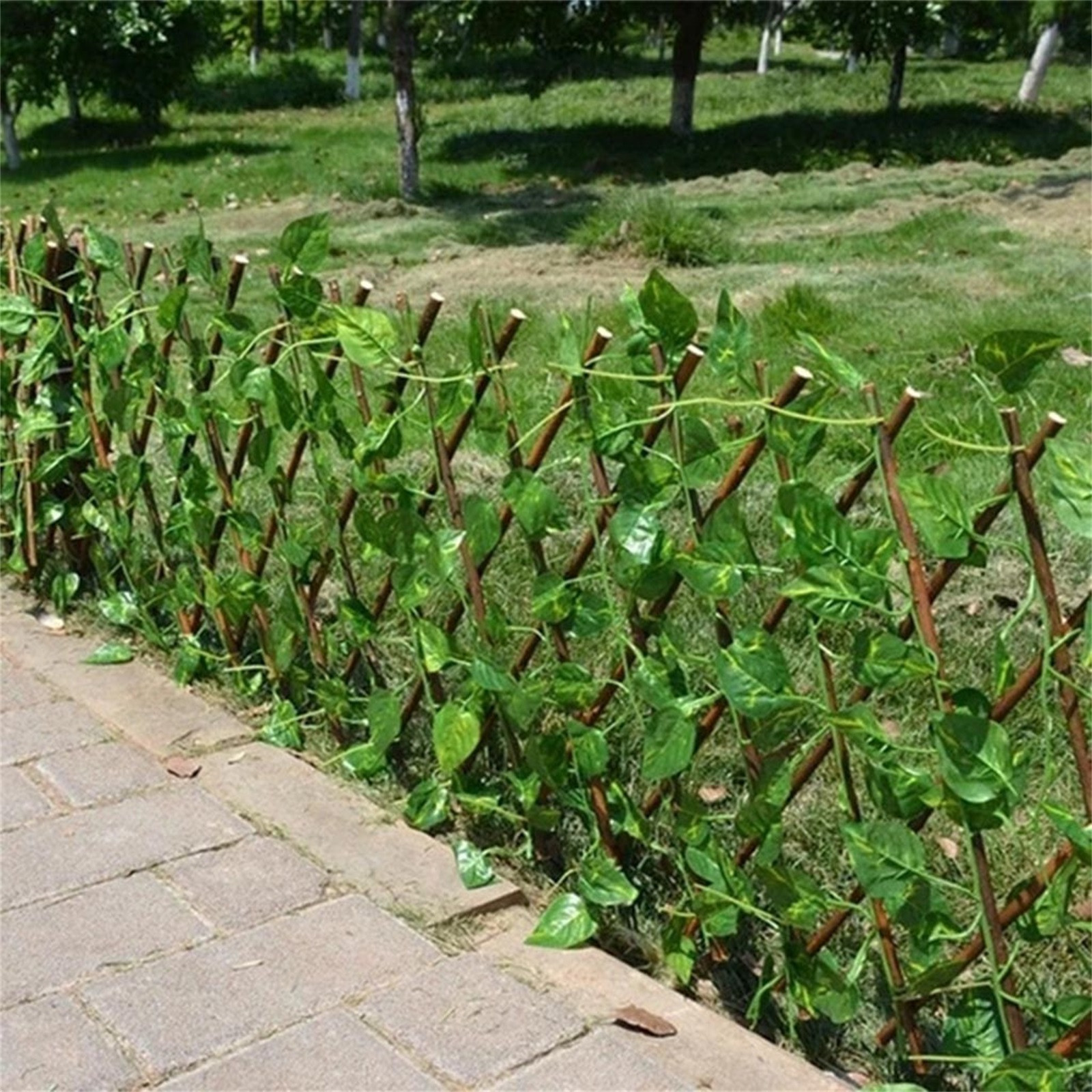 Китайская Ивовая изгородь