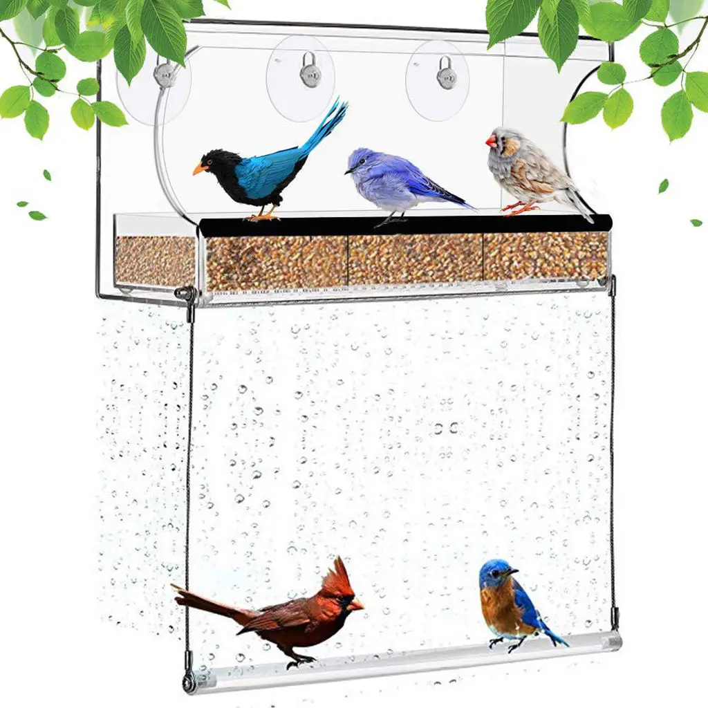 Window Bird Feeders With Strong Suction Cups Seed Tray With Drain Holes  Water 