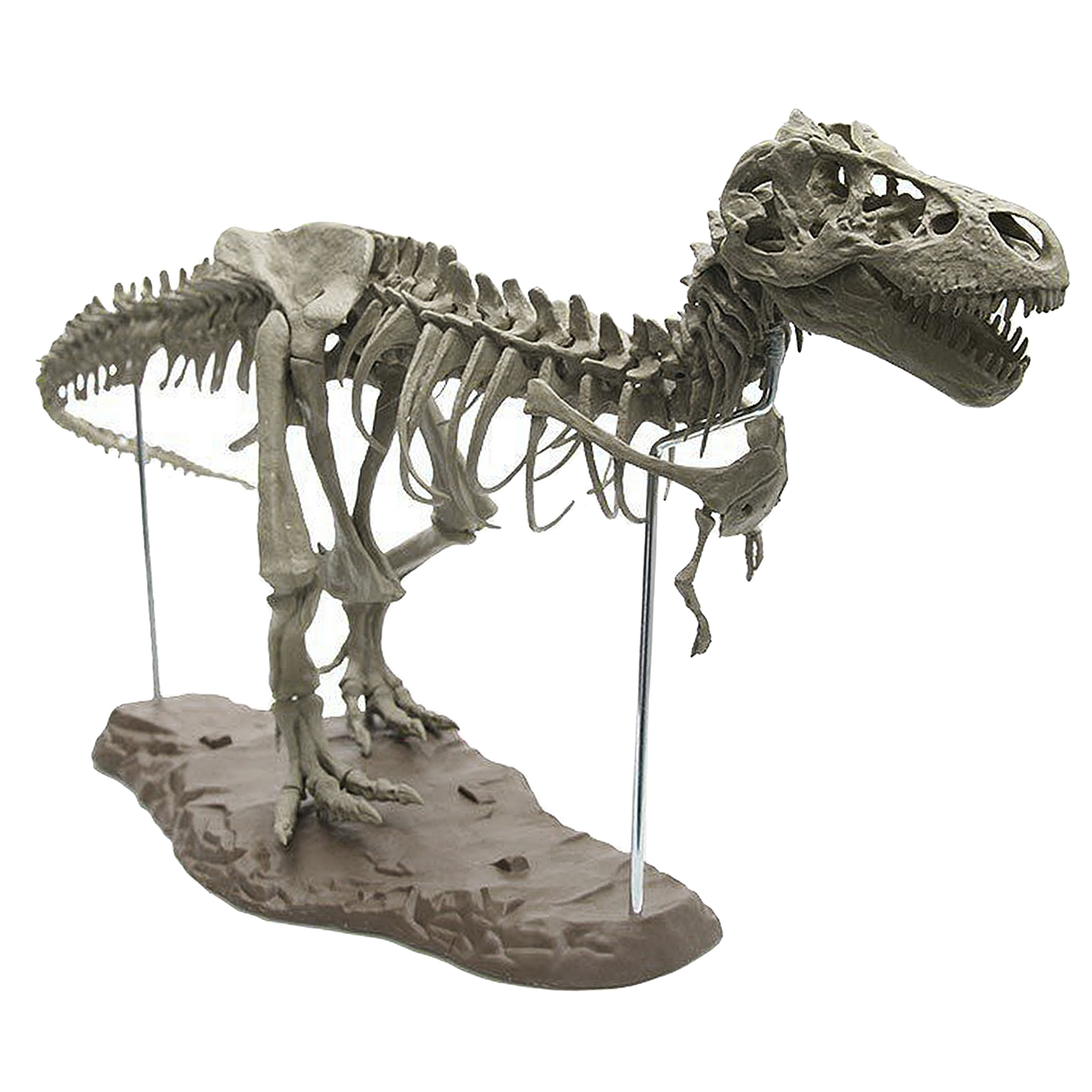4D Dinosaur Skeleton Model Blocks Kit Unassembled Gift for Kids Boys Girls