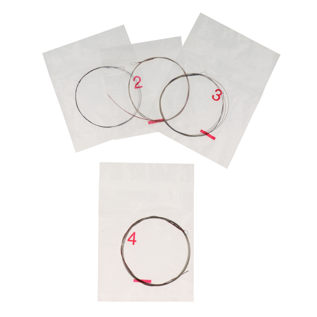 Quick Response Pipa String Set Chinese Lute Accessories for Pipa Players