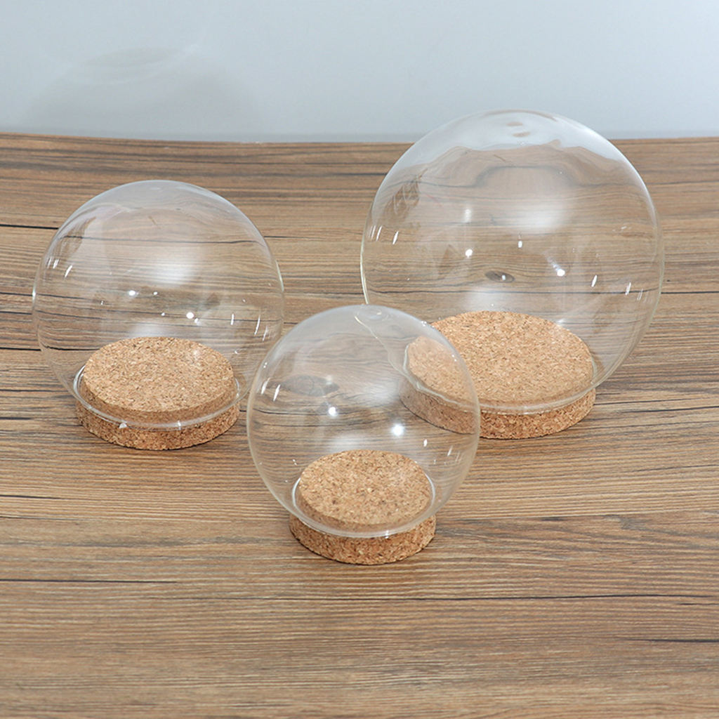 Glass Dome Display Wood Cork Bell Jar Cover Cloche Display With Wooden Base Table Decoation Craft
