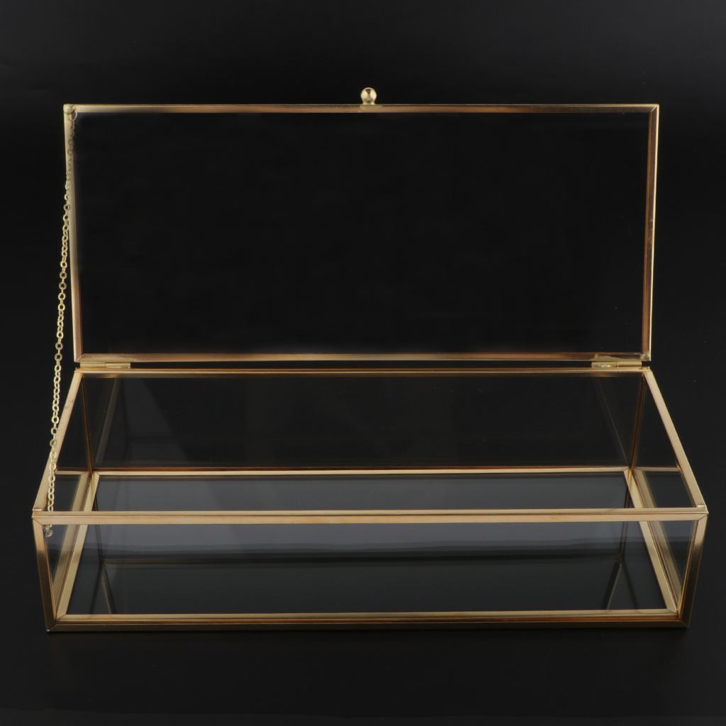 Vanity Transparent Jewelry Storage Box Showcase Holder Geometric Terrarium for