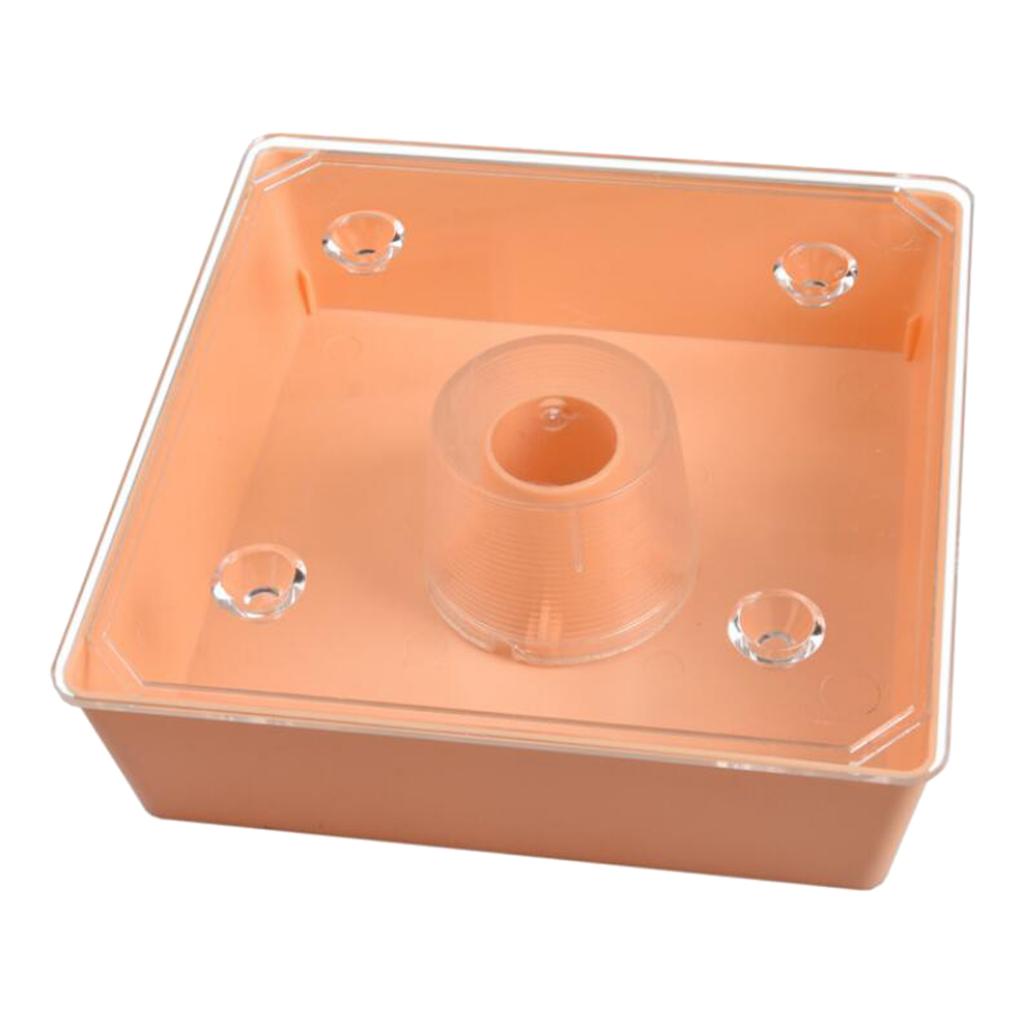 New Square 2 Litres Bee Feeder Beehive Top Feeder Beekeeper Tool Beekeeping Feeder with Transparent Cover Pre-assembled