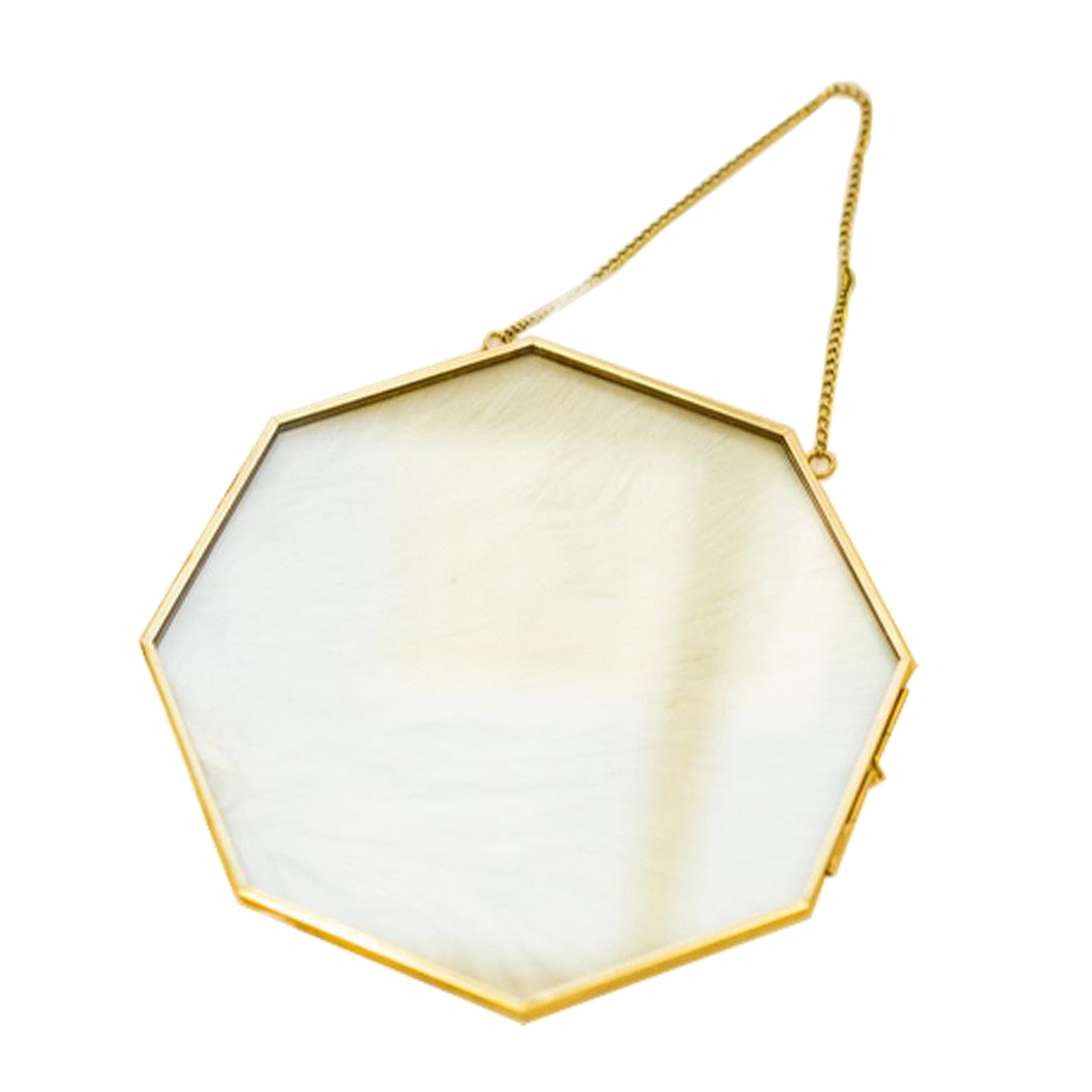 Brass Hanging Photo Frame for Display Plant Specimen Dried Flowers DIY
