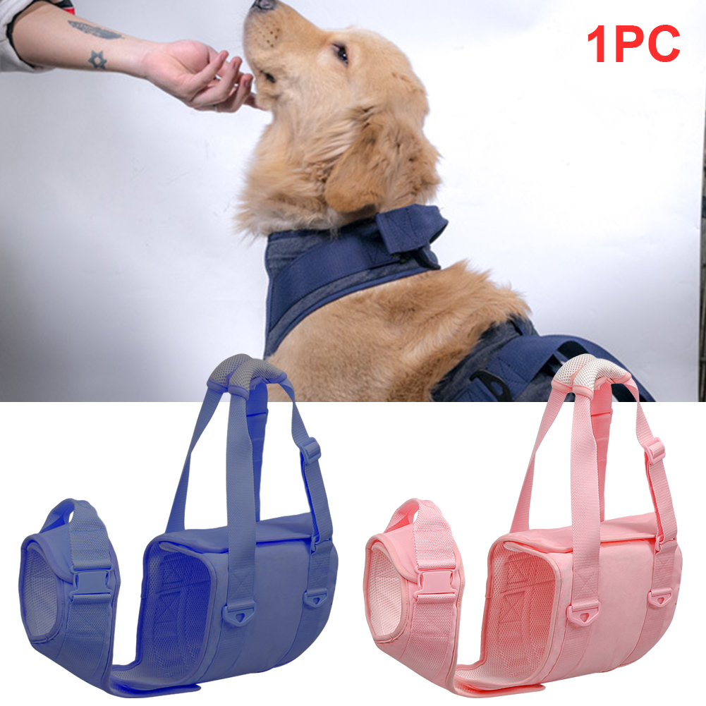 apoio ajustável andando suporte para animais de