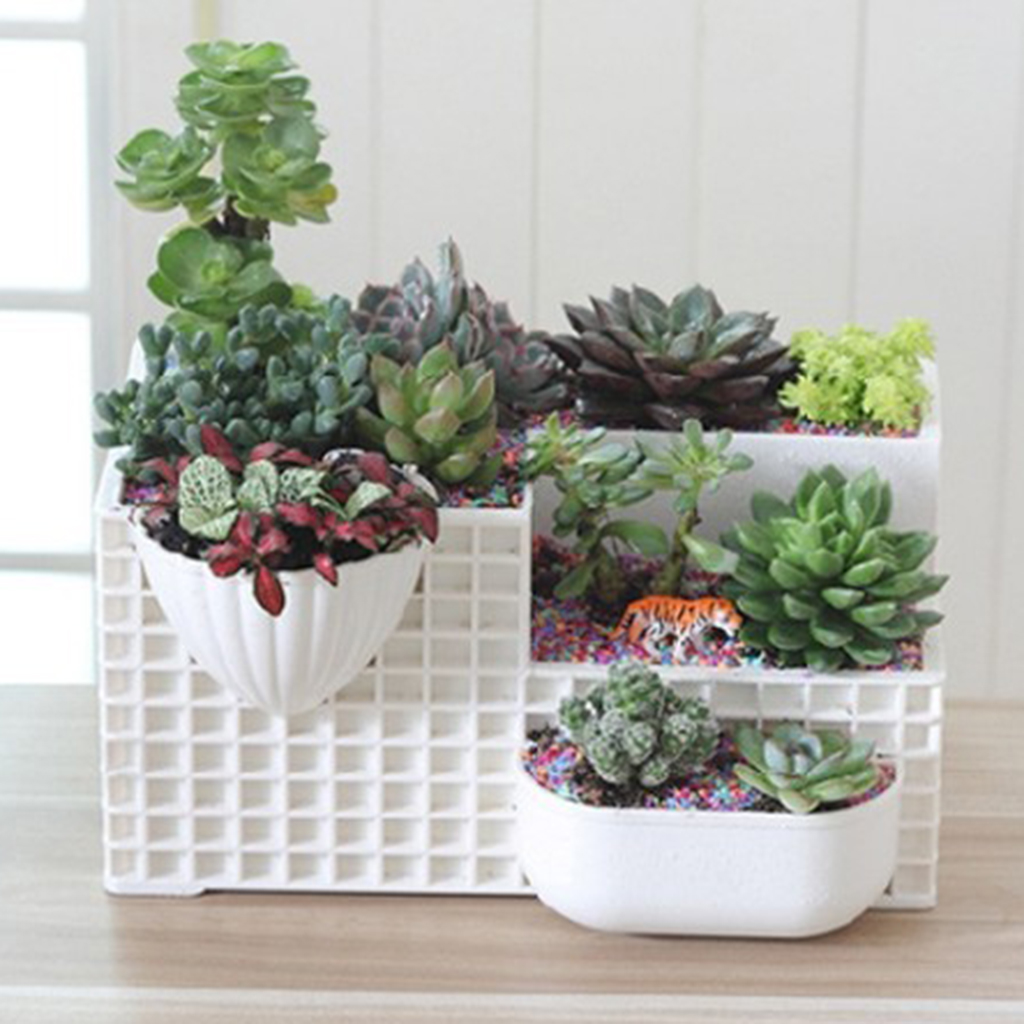 Succulent Planter Pots Desktop Cactus Plant Flower Pot DIY Garden Home Decor