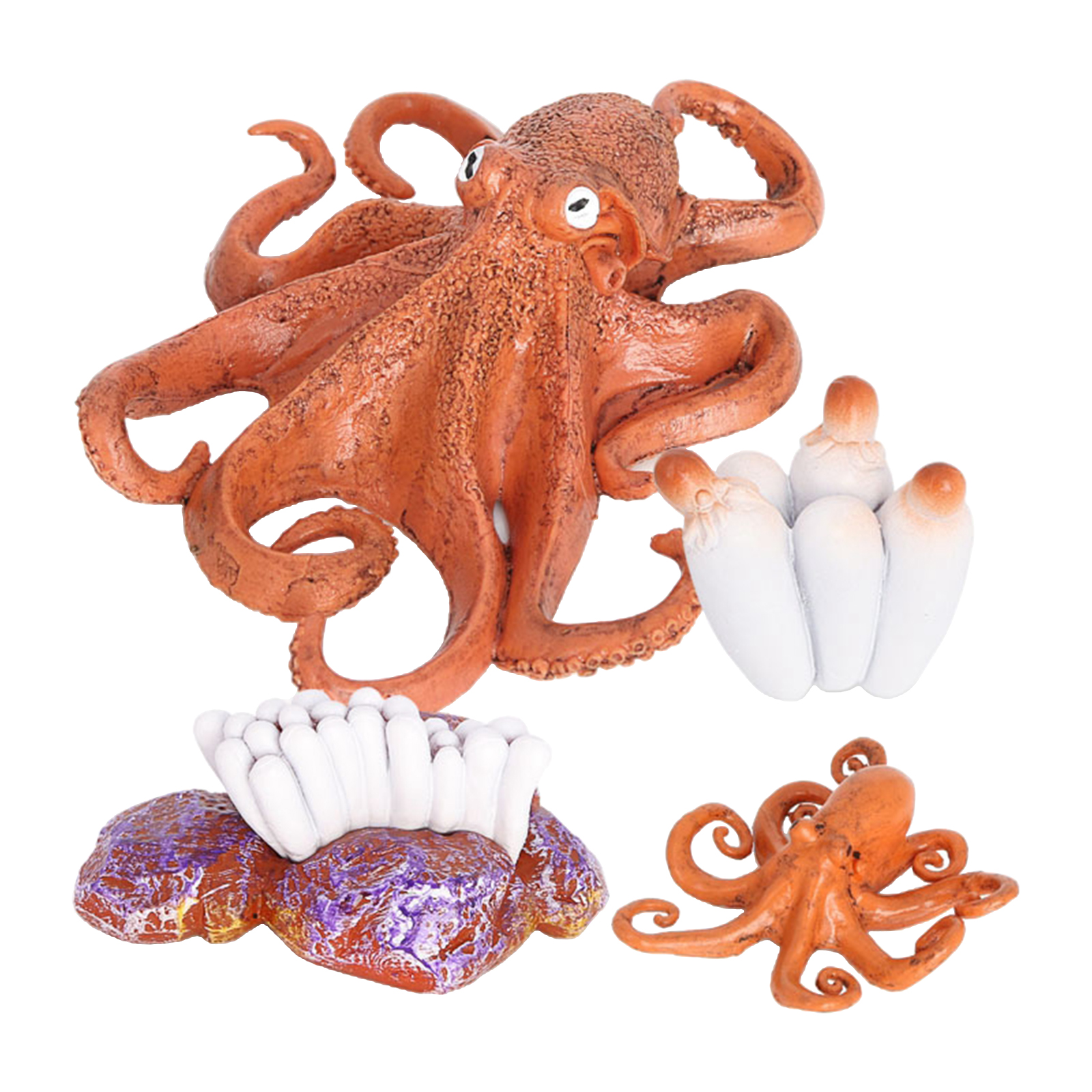 4 Stages Life Cycle of a Octopus, Insects Plastic Octopus Toy Figure - Authentic Hand Painted Model