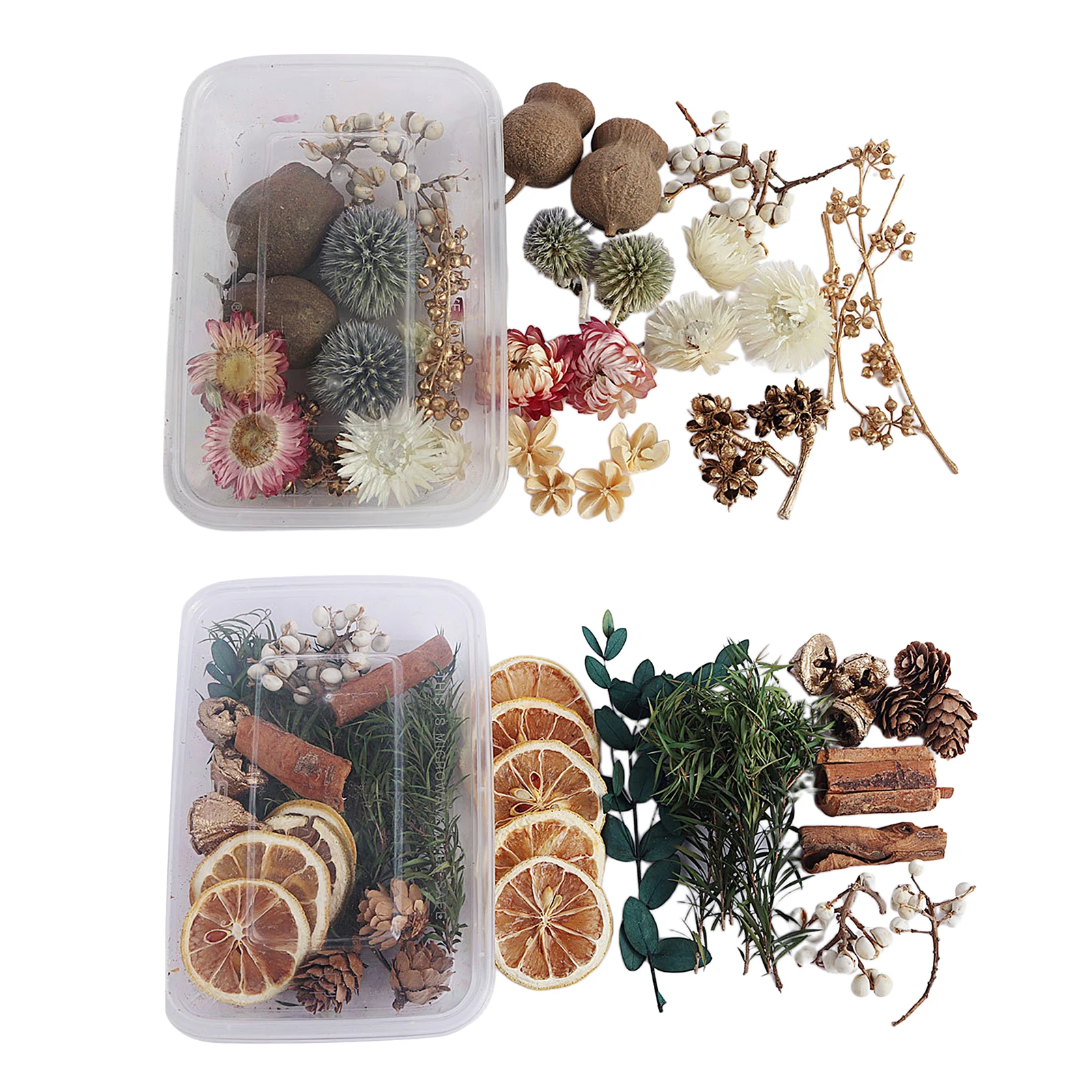 2 Boxes Real Natural Real Pressed Dried Flowers Petals Plants for Making Greeting Card, DIY Phone Case, Jewelry Craft