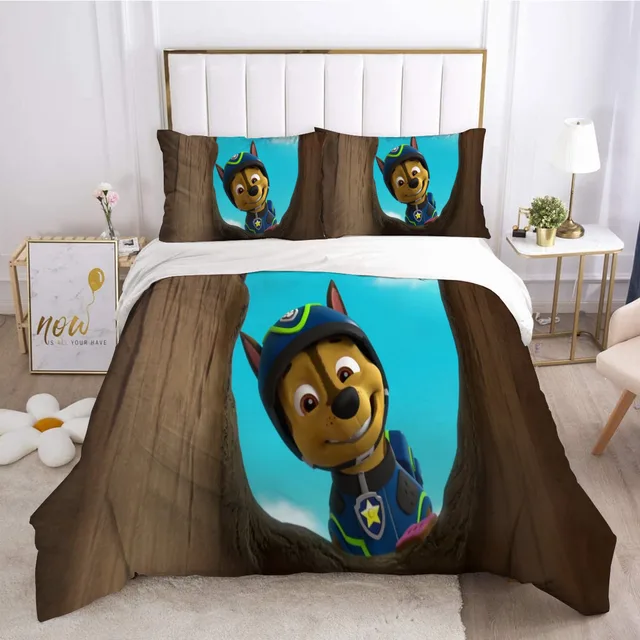 Cartoon Paw Patrol 3D stampato divano auto sonno coperta animazione  flanella coperta camera da letto autunno e inverno tappeto decorazione  della casa - AliExpress