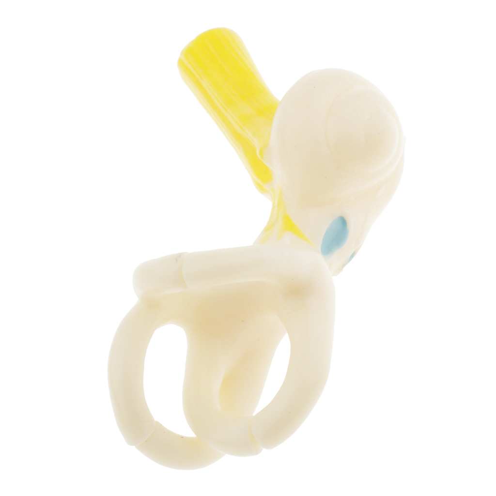 Magnification 5x Human Ear Semicircular Canal Anatomical Model Lab Ornament