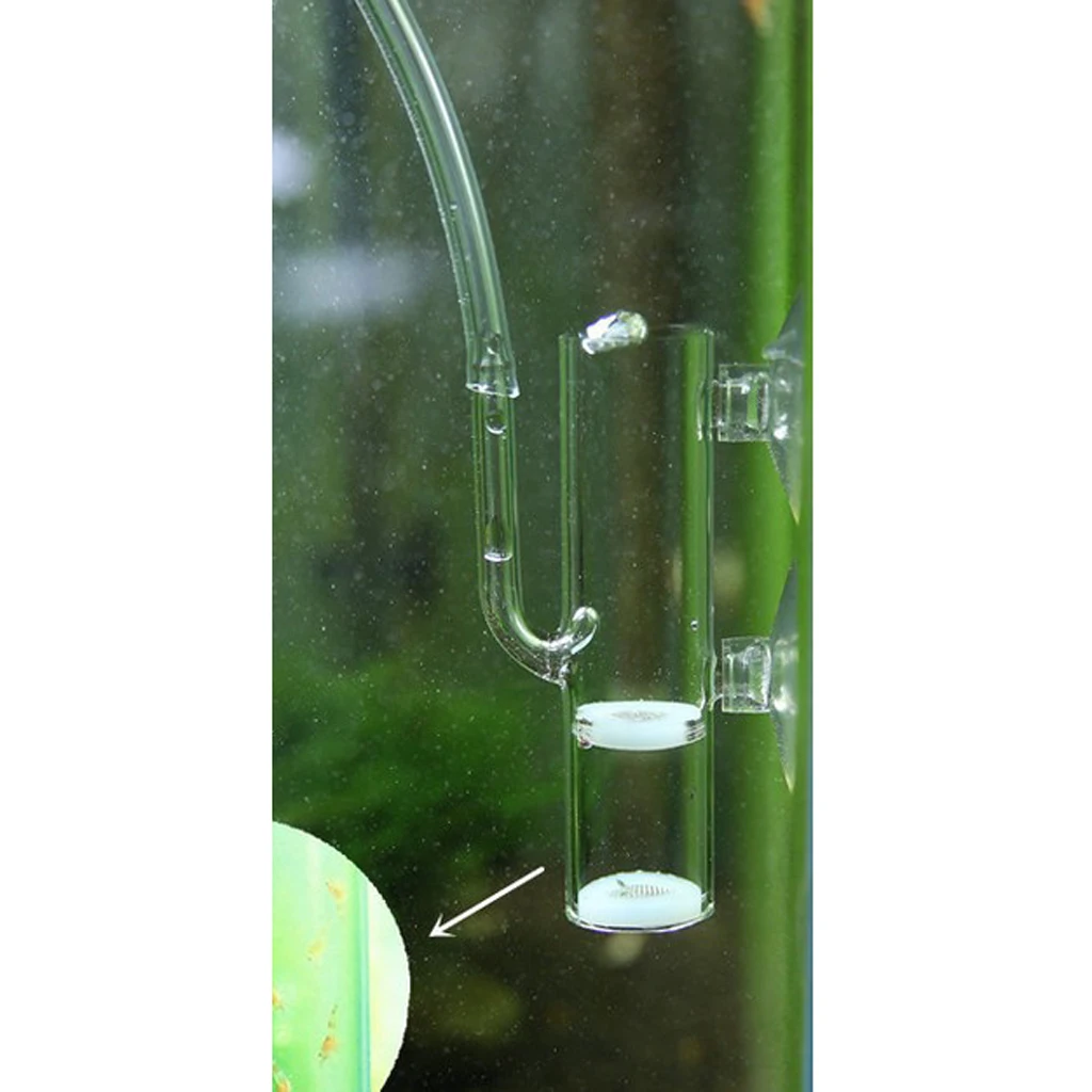 Clear Glass Eggs Tumbler Breeding Isolation Aquarium Breeder Incubator with