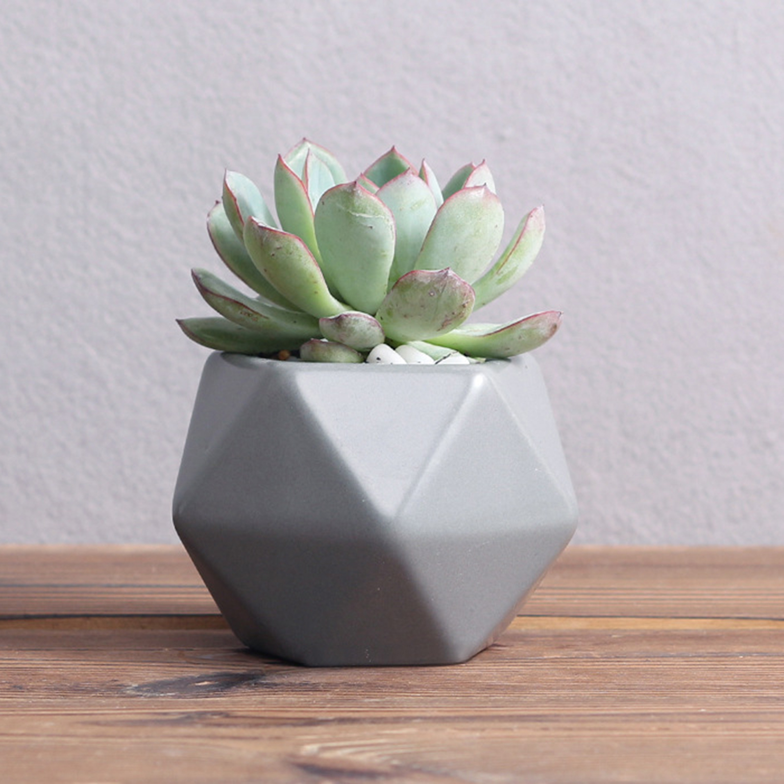 4PCS Mini Geometry Planter Pots for Home Office Window -Colorful (Plants NOT