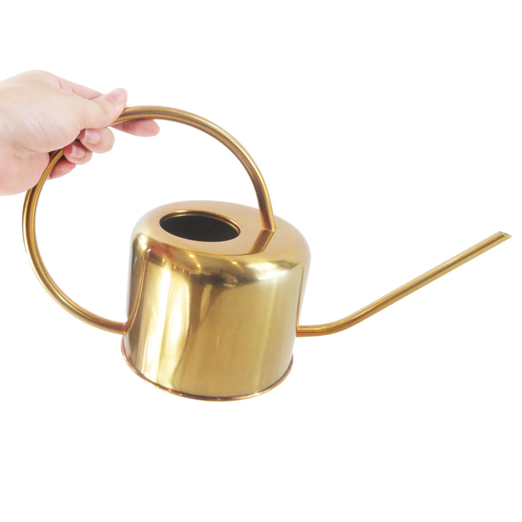 900ml Retro Style Watering Can for Plants Flowers Indoor Outdoor Home Garden Yard Watering Tools, Stainless Steel