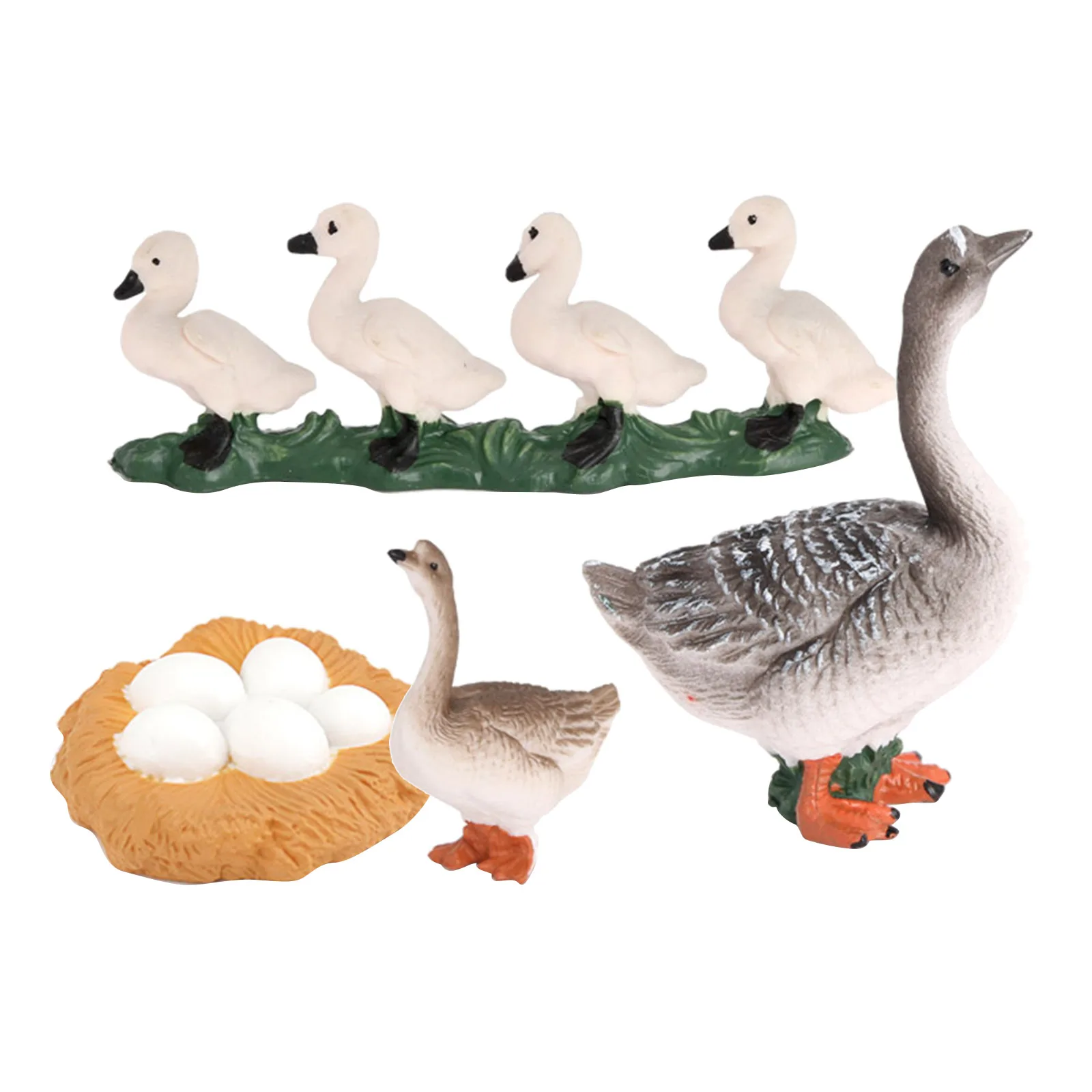 Realistic Growth Cycle Plastic Life Cycle Goose Model Biology Toy Teaching Aids