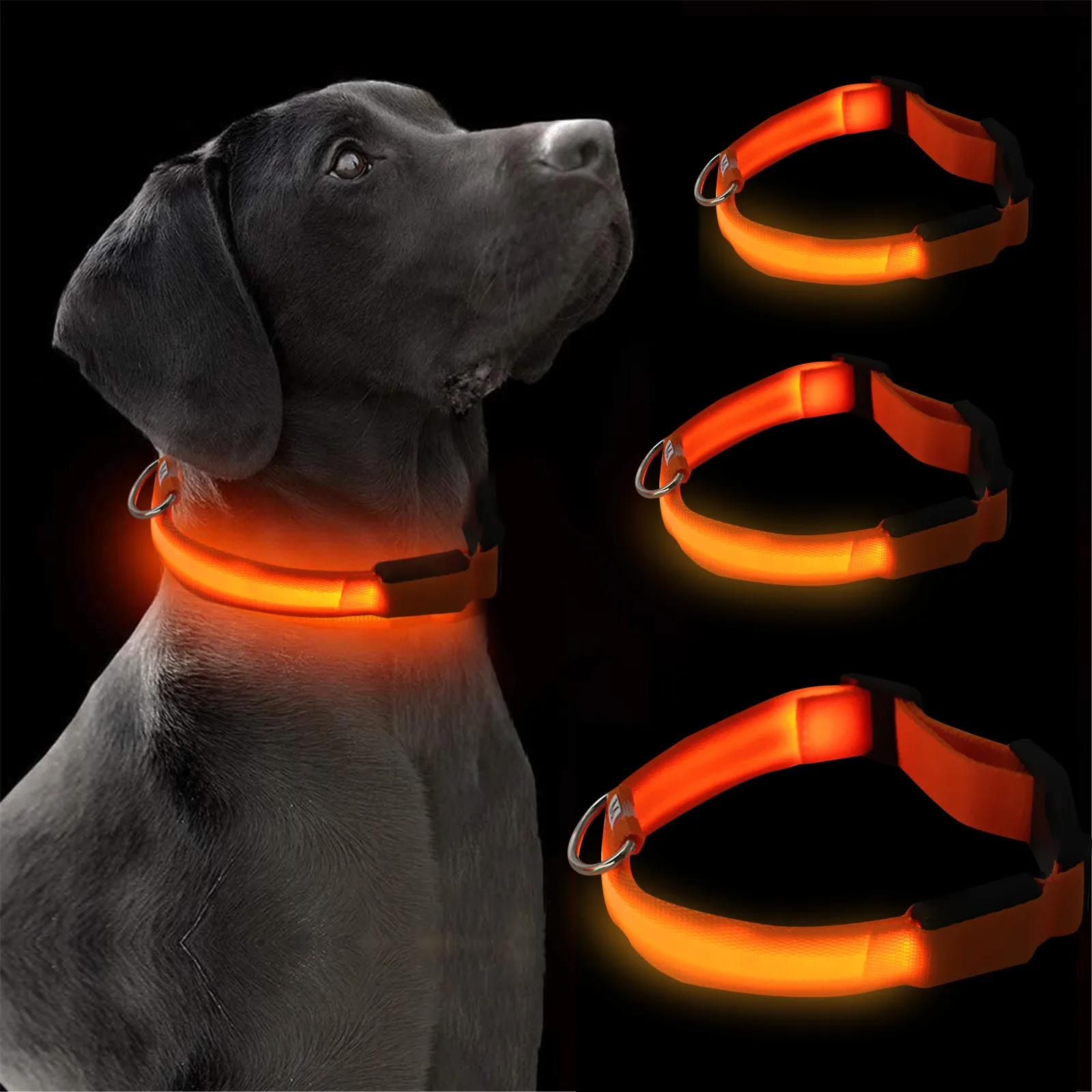 Waterproof LED Safety Collar