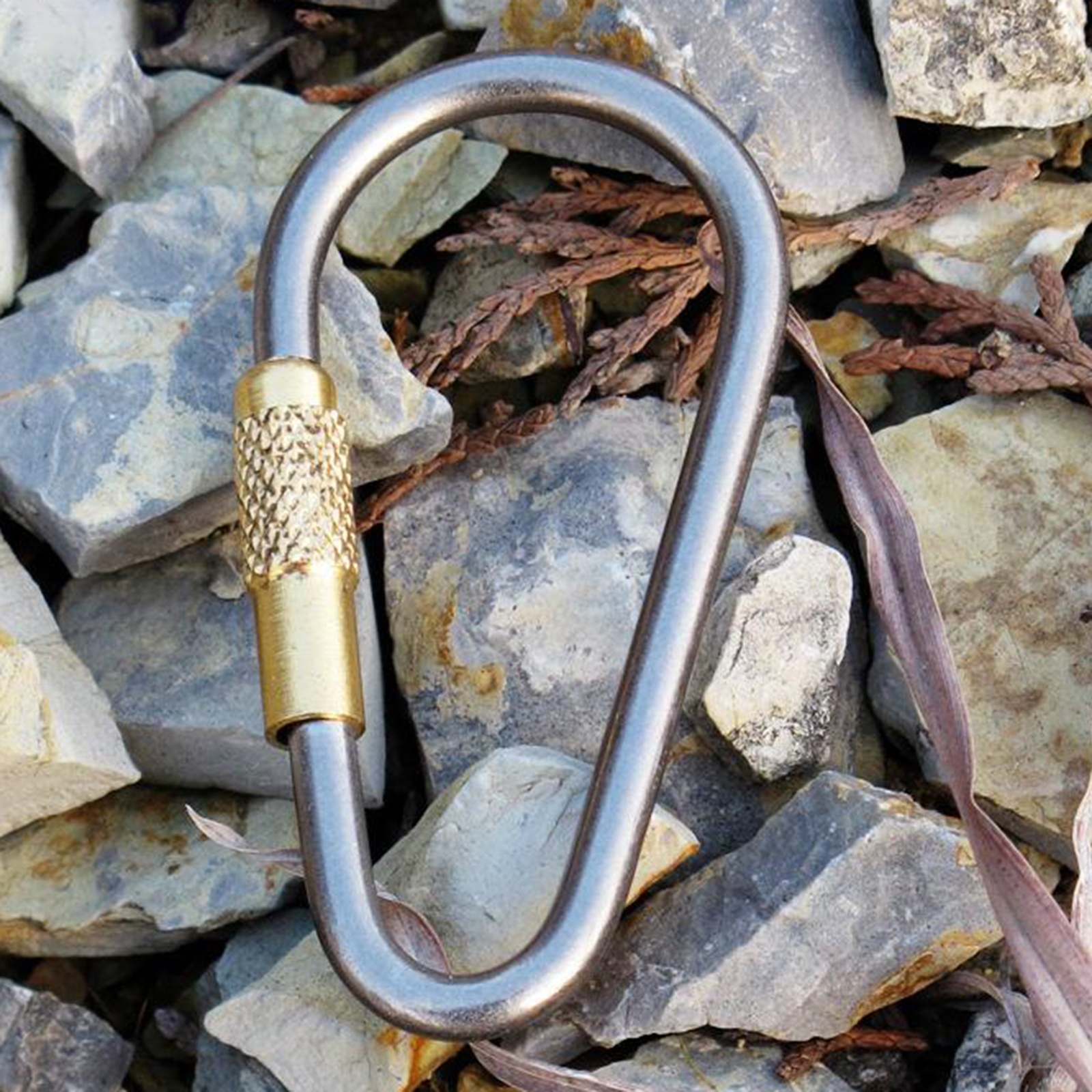 Screw Locking Carabiner Clips Small Titanium Alloy D-Ring Hooks, Dog Leads,