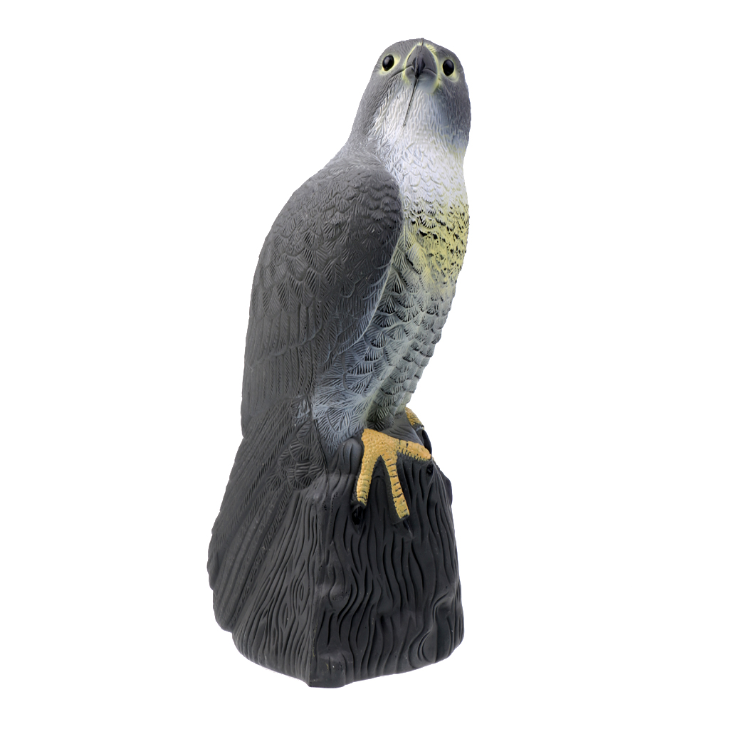 Description Picture 2 of itemLifelike Fake Falcon Hunting Decoy, Bird Repellent Scarecrow Decoy for