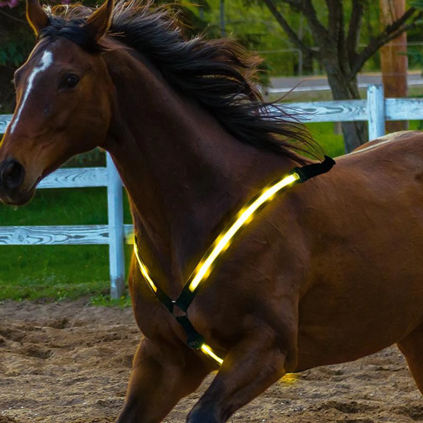 LED Horse Breastplate Collar Halter Chest Harness USB Safe Horse Bridle Halter