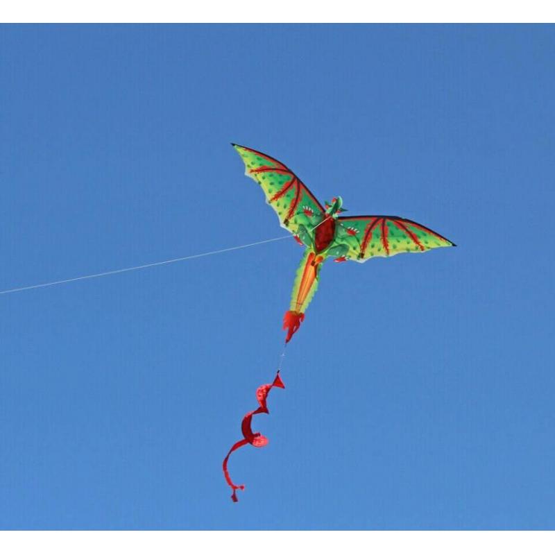3D Dinosaur Kite Long Tail Design,Easy to Fly 3D Single Line Kite Enjoyable Kite for Adults Kids 3D Kite for Outdoor Beach Park