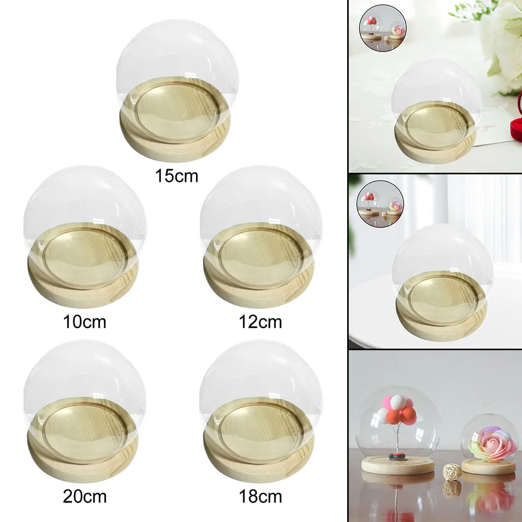 Glass Dome Display Wood Cork Bell Jar Cover Cloche Display With Wood Base DIY Micro Landscape Plant Container Decoation Craft