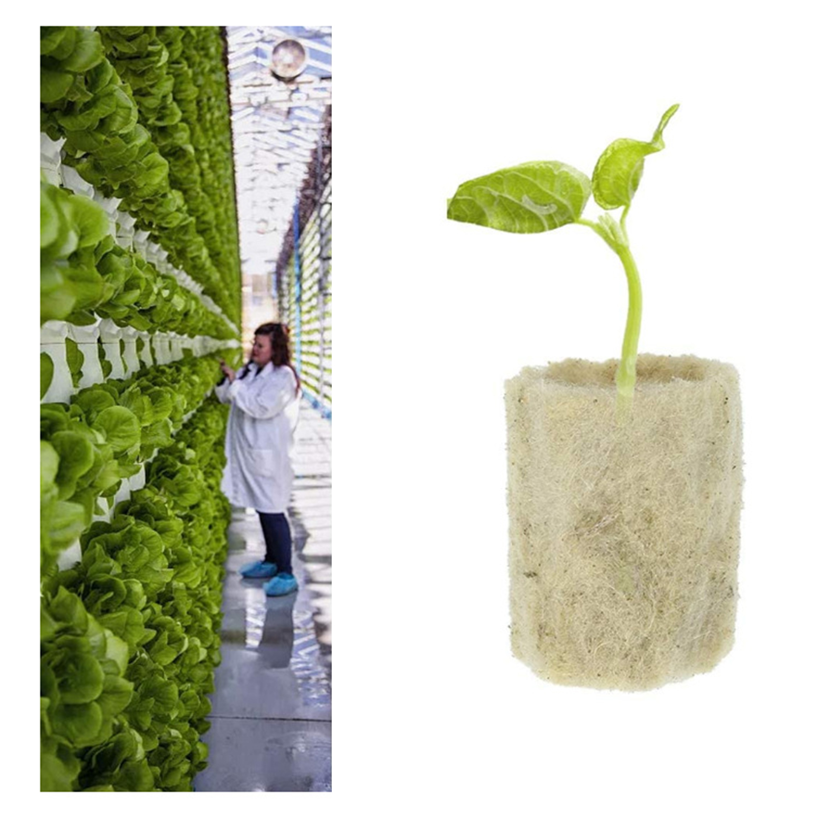 50x Garden Flower Starter Plugs Cubes Rock Wool Grow Media Nursery Block