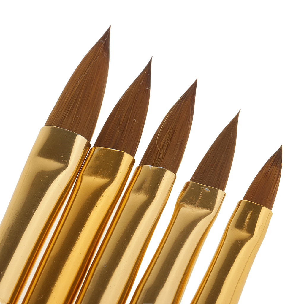 5pcs Arcylic Nail Art Gel Design Pen Painting Gradient Brush Drawing Tool