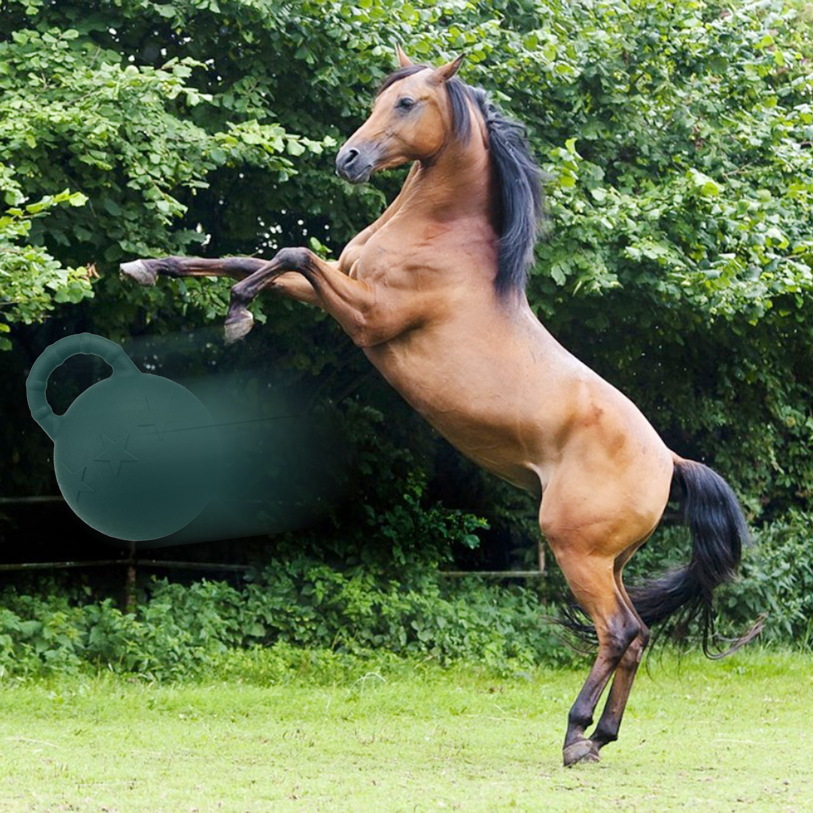 Equine Horse Chew Play Ball, Anti-Burst Horses Pony Dogs Soccer Ball Stable And Yard Toy 25cm Rubber Bouncy Ball