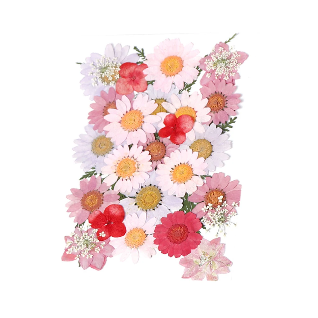 Mixed Multiple Pressed Flowers Real Pressed Dried Flowers Natural Dried Flowers DIY Resin Jewellery Making(0.04-1.2inch)