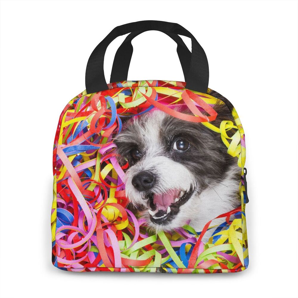 Bolsas p almoço
