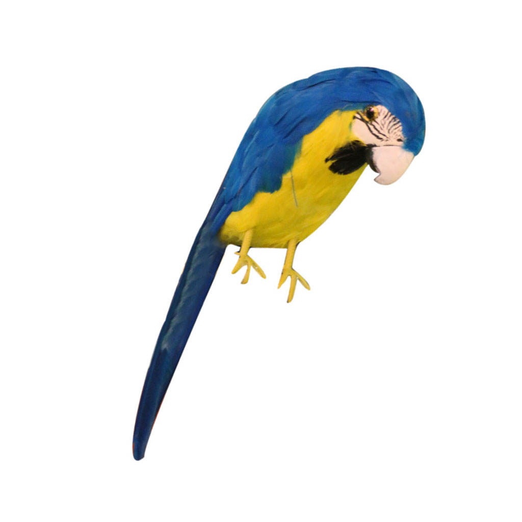 1pc Decorative Artificial Bird Feathered Parrot Birds Home Garden Blue